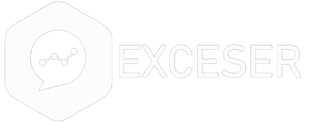 Logo Exceser